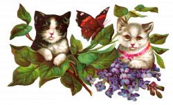 Antique Images: Vintage Cat Image Wisteria Flowers Butterfly Clip ...