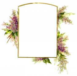 The Graphics Monarch: Royalty Free Wisteria Flower Clip Art Border ...
