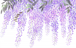 ftestickers flowers border lavender wisteria...