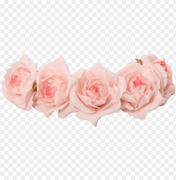 transparent flower crown png - pink flower crown transparent ...