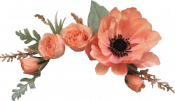 Flower crown png, Flower crown png Transparent FREE for ...