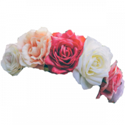 Flower crown png images Transparent #42603 - Free Icons and ...