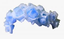 blue #rose #flower #crown #aesthetic #light #lightblue ...