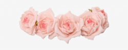 Transparent Flower Crown Png - Pink Flower Crown Transparent ...