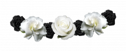 White and Black Flower Crown - Flower Crowns PNG image #407