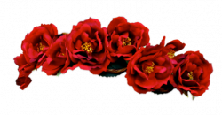 flower crown: NEW 370 RED FLOWER CROWN PNG