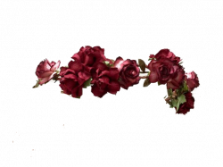 flowercrown maroon maroonflowercrown roses...