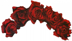 Largest Collection of Free-to-Edit flowers vases Stickers on ...