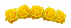 Png Download Png Image Flower Crown Transparent Png - Clip ...