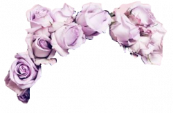 ❀ flowercrown masterpost ❀ in 2019 | Flowers, Purple ...