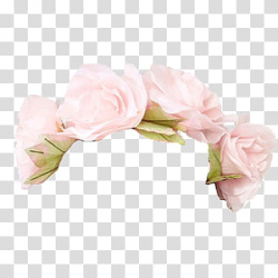 Flower Crown PNG clipart images free download | PNGGuru