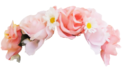 Transparent-Flowers in 2019 | Transparent flowers, Crown png ...