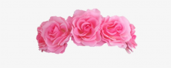 Visit - Flower Crown Pink Png - Free Transparent PNG ...