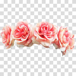 Flower Crowns, pink rose flower headband transparent ...