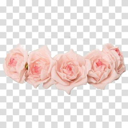 Flower Crowns S, five pink roses transparent background PNG ...