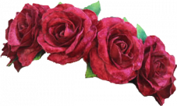 Rose Flower Crown - Flower Crowns PNG image #184 - PngMix