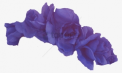 Flower Crown PNG Images | PNG Cliparts Free Download on SeekPNG