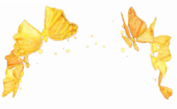 Download Snapchat Flower Crown Transparent PNG 420x260 For ...