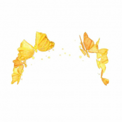 Search results for Filter Transparents ❤ liked on Polyvore ...