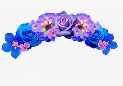 Flower Crown Overlay App - Flower Crown Snapchat Filter Pngs ...