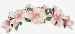 Flowercrown Snapchatfilter Girl Pink - Flower Crown Png ...