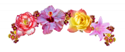 transparent flower crown | Tumblr