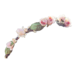 transparent flower crowns | Tumblr