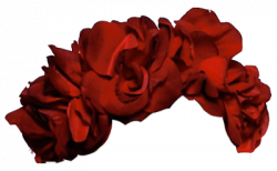 transparent flower crown | Tumblr