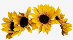 Sunflower Flowercrown Coronadeflores Flowers Floresfall ...