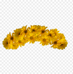 yellow flower crown transparent PNG image with transparent ...