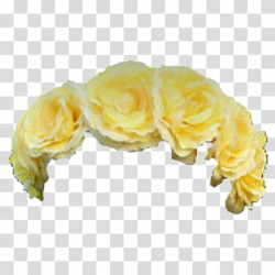 Flower Crowns, yellow flower headband transparent background ...