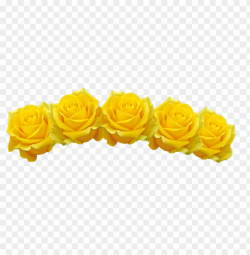 yellow flower crown transparent PNG image with transparent ...