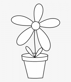 Picture Free Stock Awesome Pots Ensign Best Evening - Flower ...