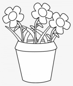 Flower Pot PNG & Download Transparent Flower Pot PNG Images ...