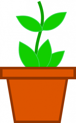 Free Flower Pot Clipart, Download Free Clip Art, Free Clip ...