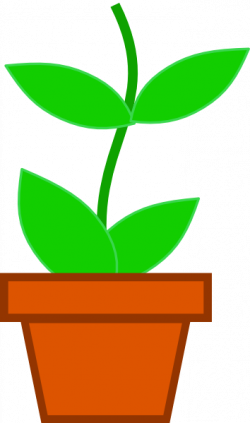 Free Flower Pot Clipart, Download Free Clip Art, Free Clip ...