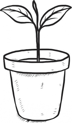 Flower In A Pot Clipart Black And White