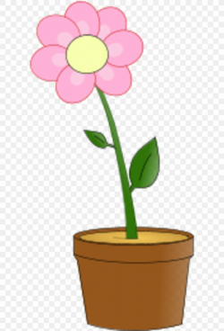 Flowerpot Pink Flowers Clip Art, PNG, 600x1209px, Flowerpot ...