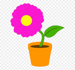 Flowering Pot Plants Flowerpot Houseplant - Flower In A Pot ...