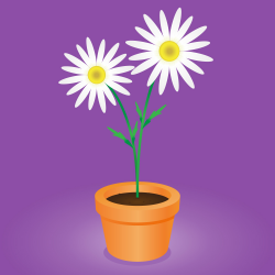 Daisy Flower Pot Clipart - Clip Art Library