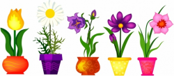 Spring Flowers In Pots Free vector in Adobe Illustrator ai ...