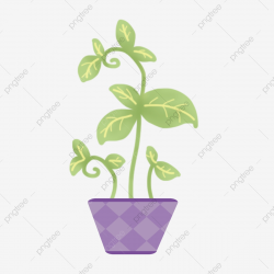 Summer Cool Summer Summer, Midsummer, Plant, Flower Pot PNG ...