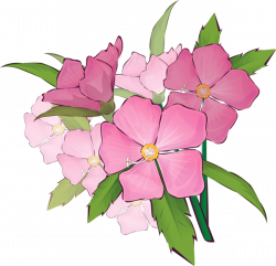 Pontiac\'s Rebellion: An Overview | Flower clipart, Summer ...