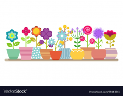 Spring and summer flowers in pots