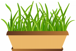 Flowerpot with Grass Transparent PNG Clip Art Image ...