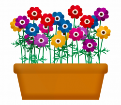 Flowerbox Flowers In Pot Flowers Garden Spring - Flower Pot ...