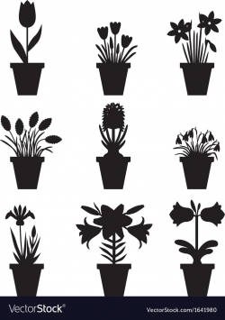 Flower pot black