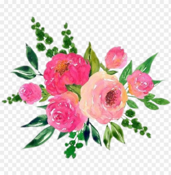 scrose roses rose aesthetic cute flower watercolor - cute ...