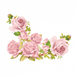 Flowers stickers transparent aesthetic cute filter flow...