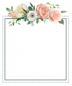 Square Flower transparent border - 2019 | 꽃 프레임, 패턴 ...
